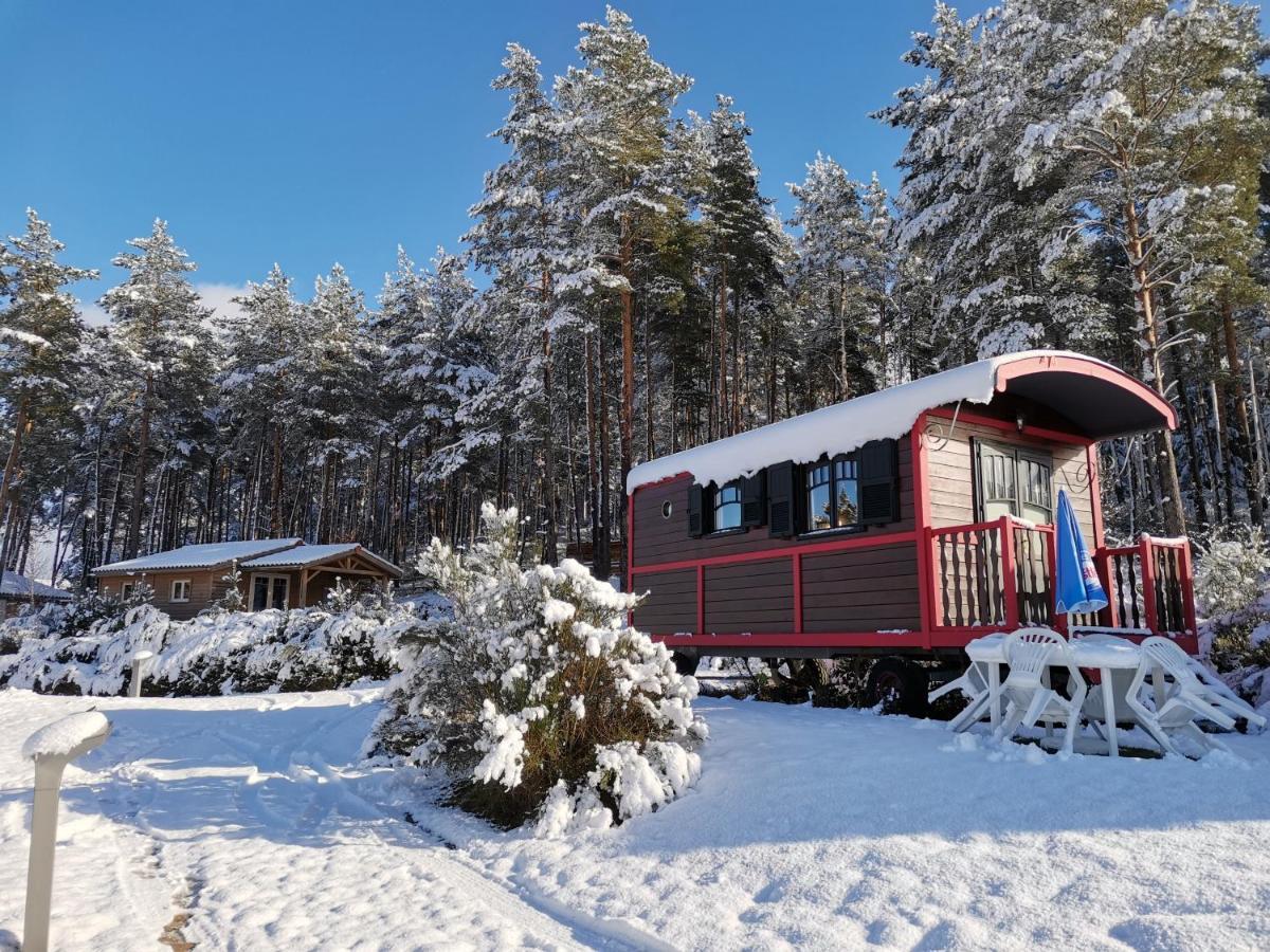 Les Chalets Du Haut-Forez Usson-en-Forez Kültér fotó