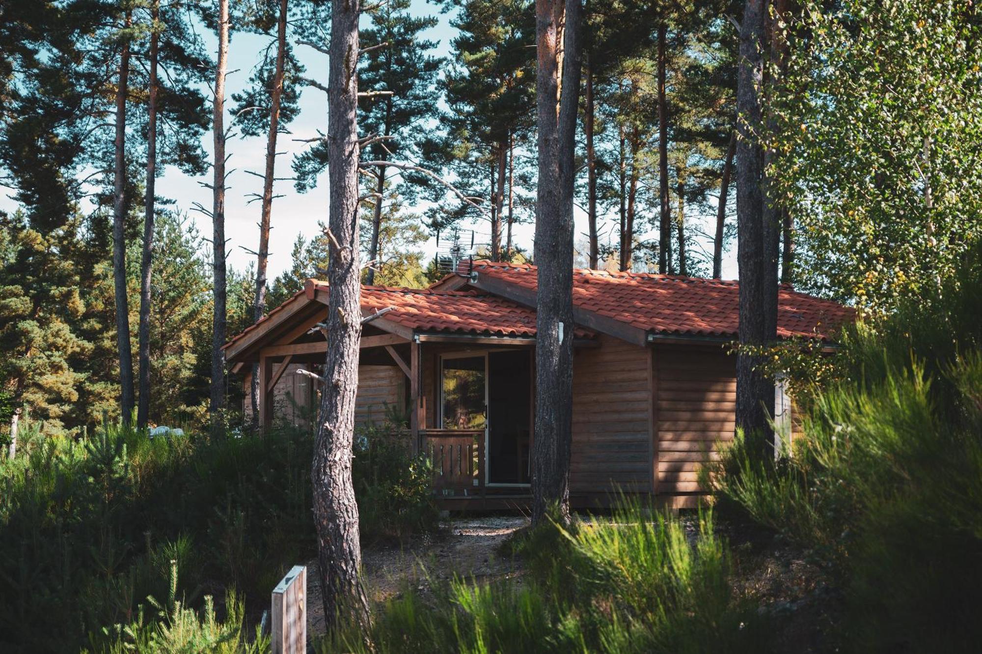 Les Chalets Du Haut-Forez Usson-en-Forez Kültér fotó