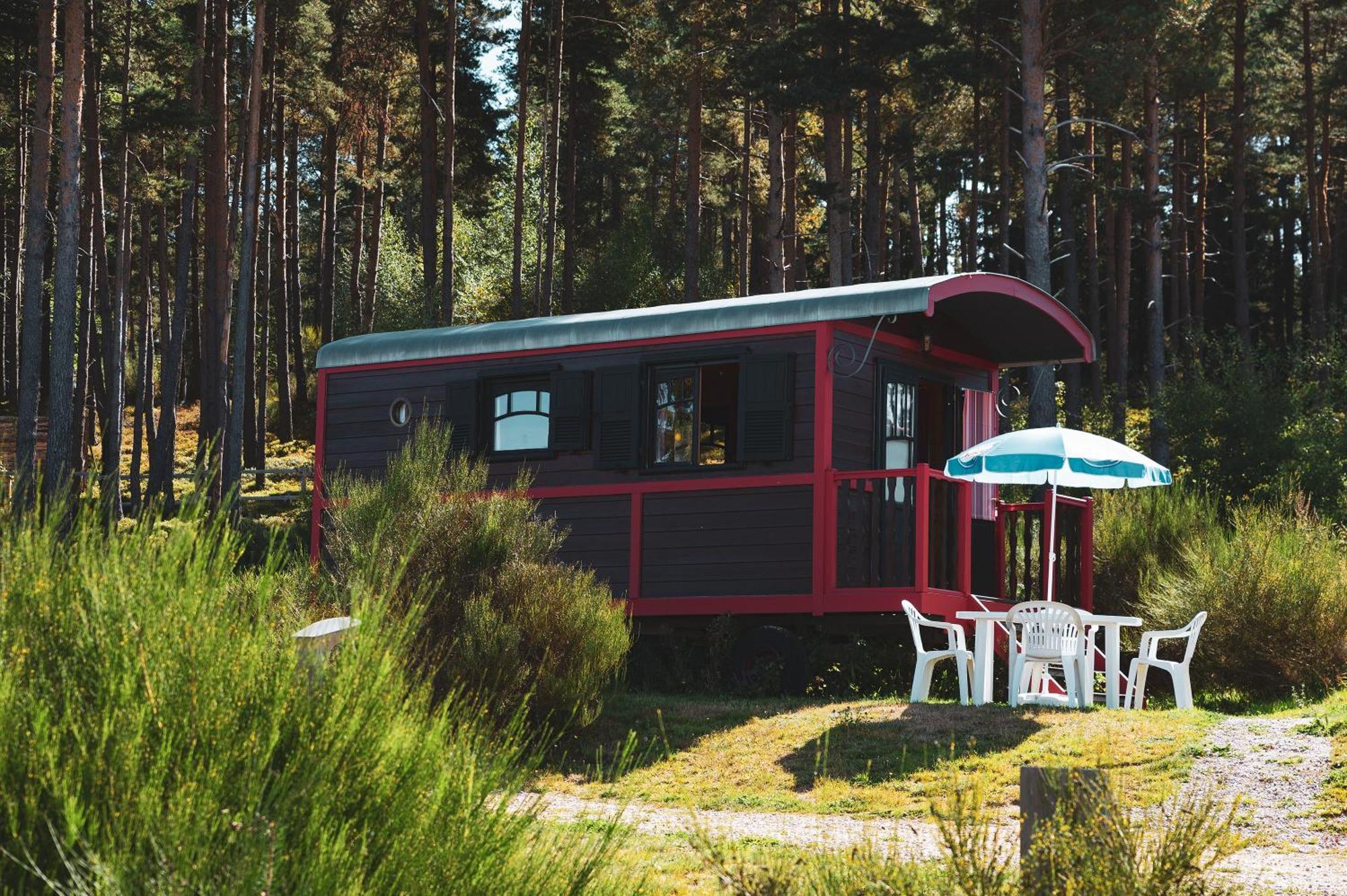 Les Chalets Du Haut-Forez Usson-en-Forez Kültér fotó